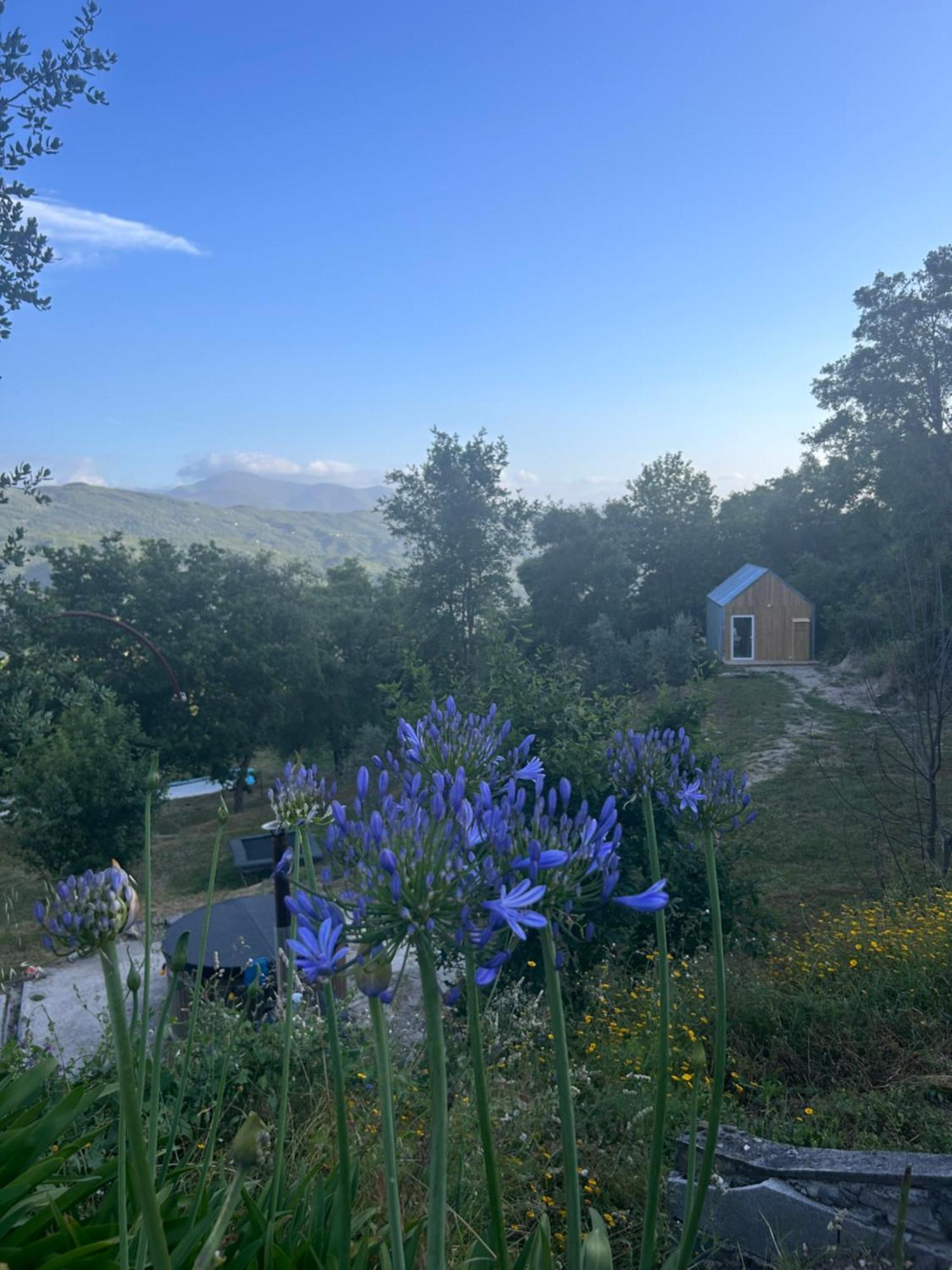 Monkey Tiny Barnhouse With Amazing Views! Villa Folhadosa Exterior foto