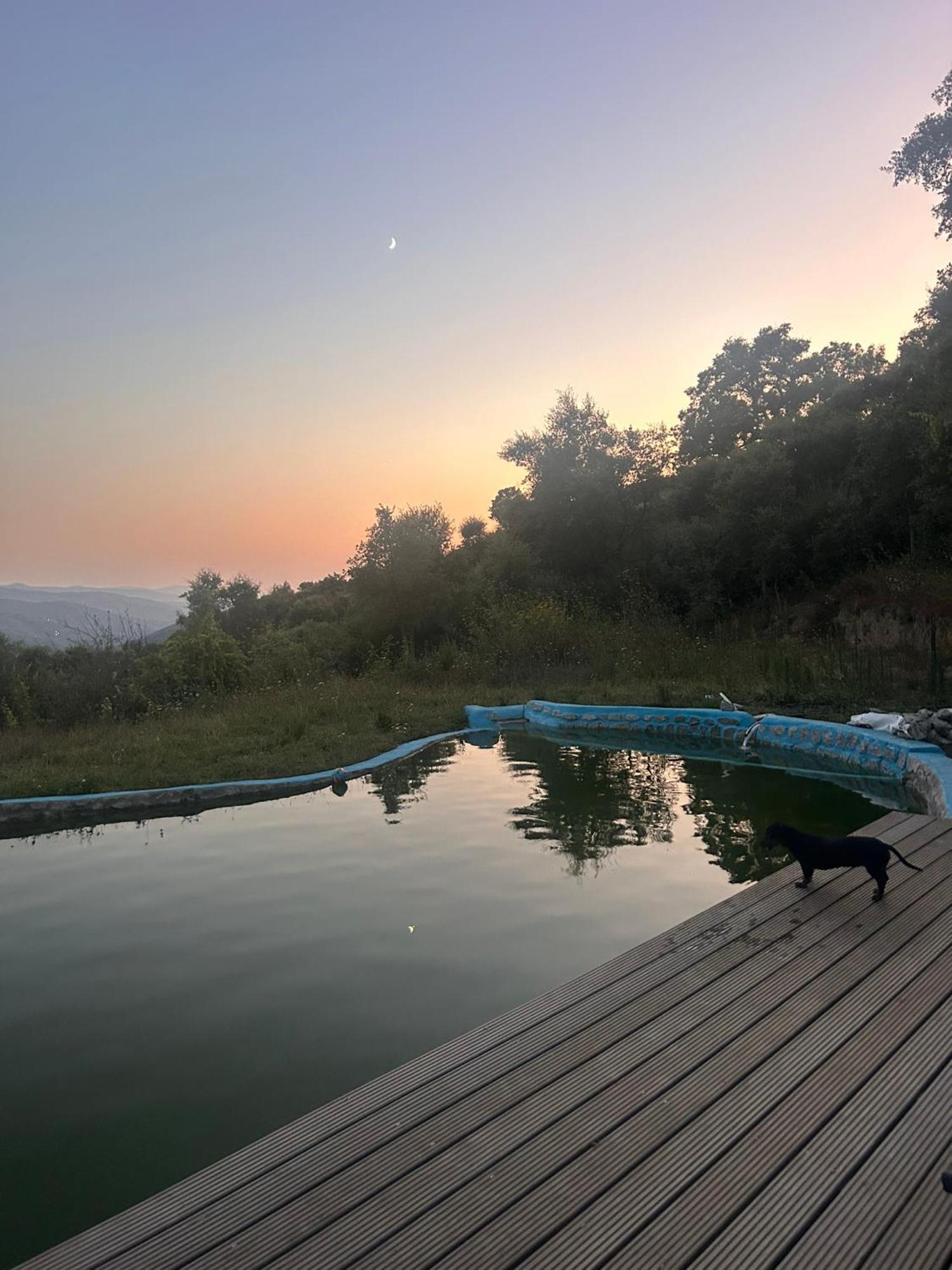 Monkey Tiny Barnhouse With Amazing Views! Villa Folhadosa Exterior foto