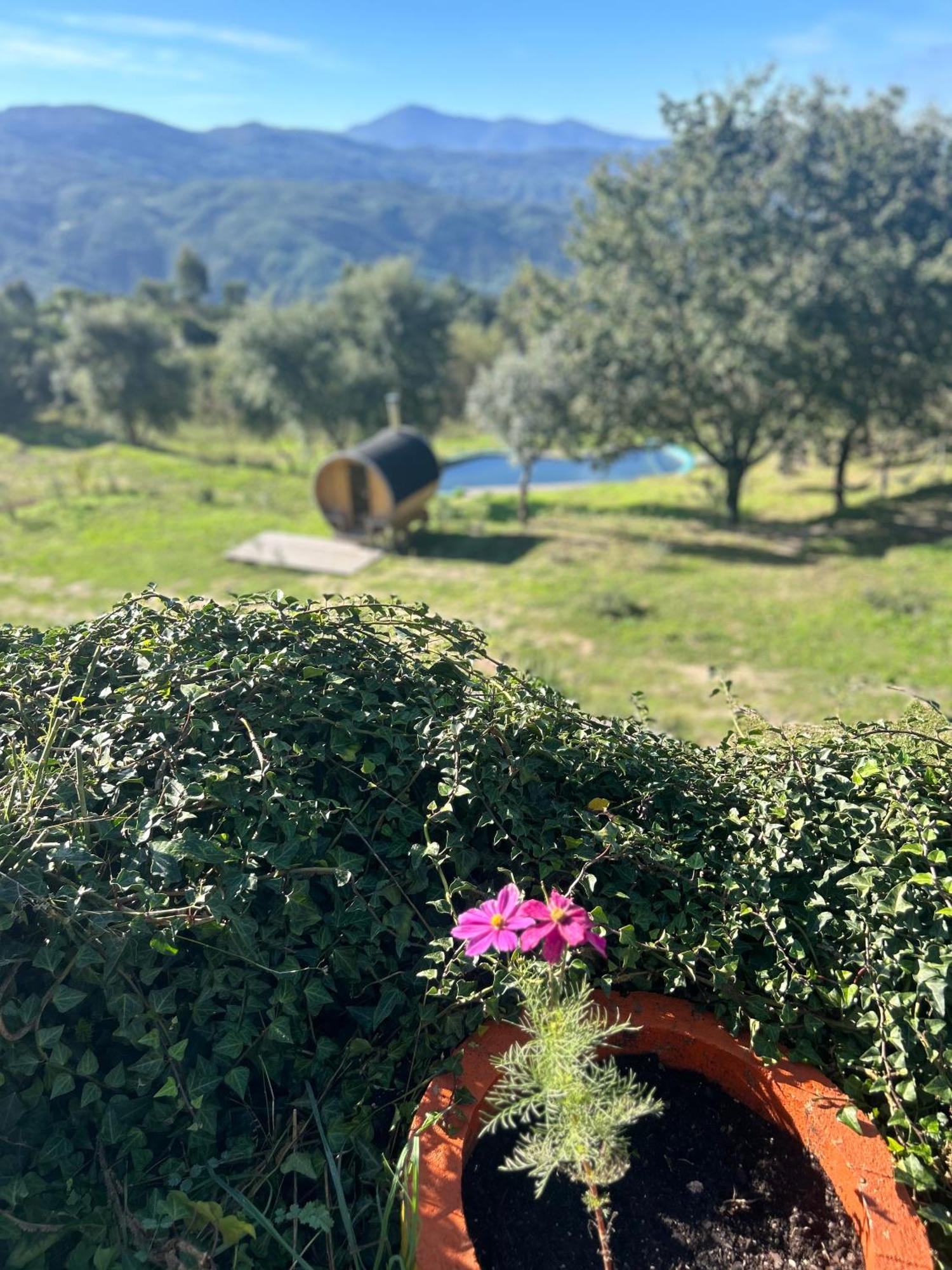 Monkey Tiny Barnhouse With Amazing Views! Villa Folhadosa Exterior foto